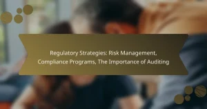 Regulatory Strategies: Risk Management, Compliance Programs, The Importance of Auditing