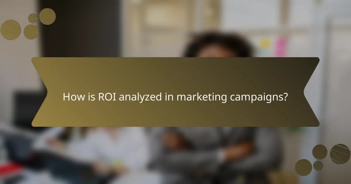 How is ROI analyzed in marketing campaigns?