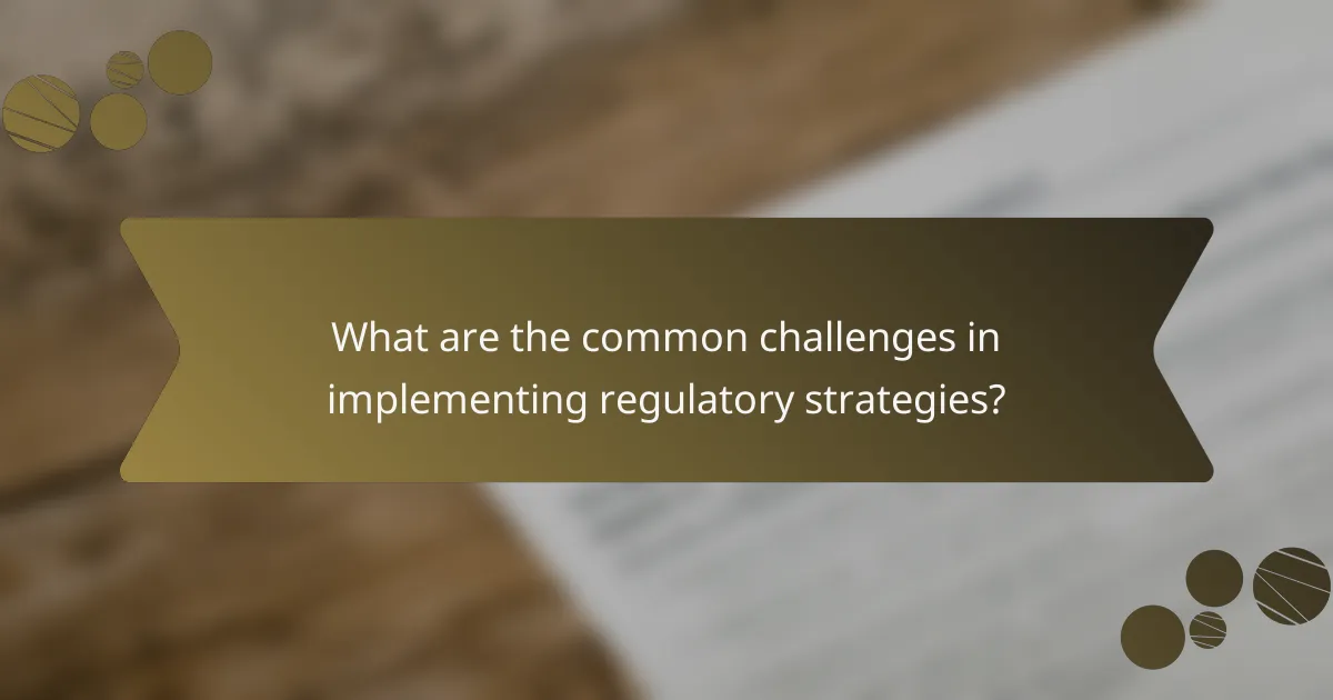 What are the common challenges in implementing regulatory strategies?