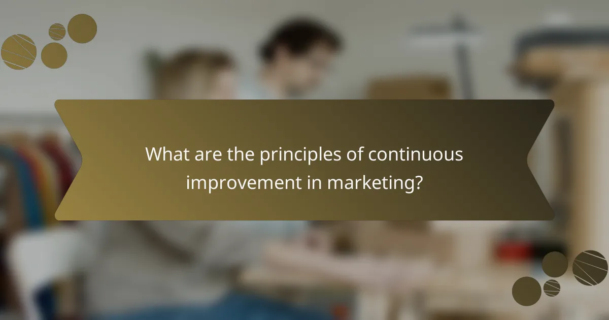 What are the principles of continuous improvement in marketing?