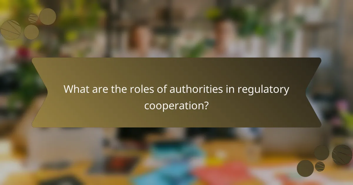What are the roles of authorities in regulatory cooperation?