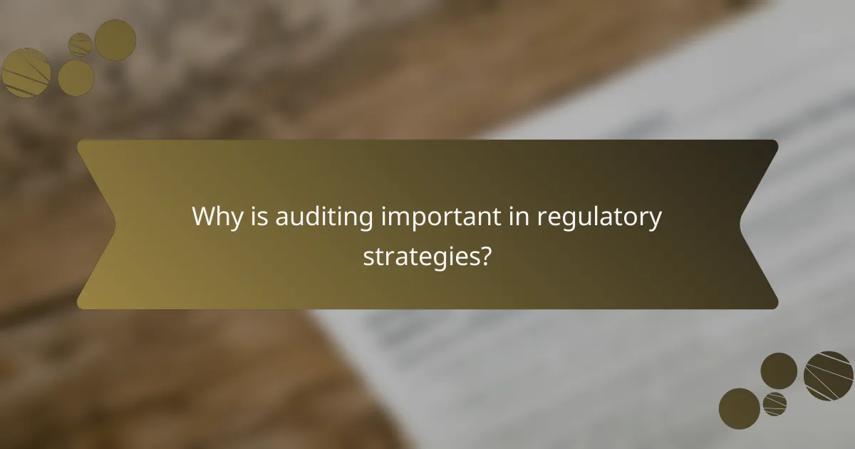 Why is auditing important in regulatory strategies?
